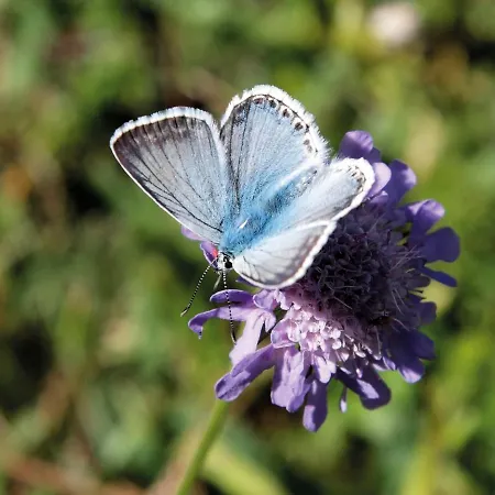 Osterkamp By Interhome Friederikensiel